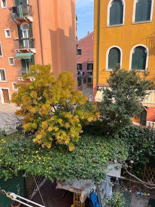 Appartamento Tipico Veneziano Dış mekan fotoğraf